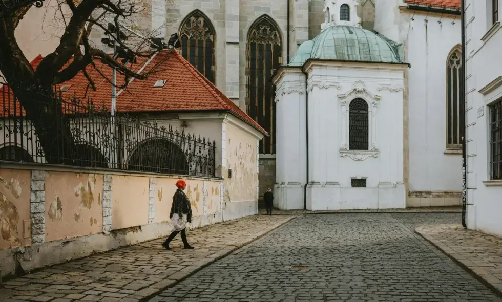 Prednosti kupnje i korištenja slovačke vinjete.